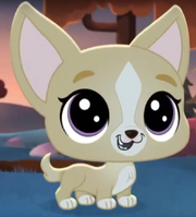 Mayor perrito