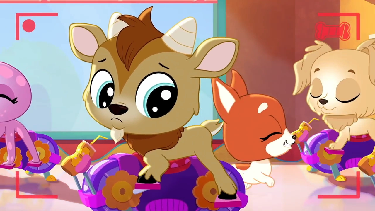 Quincy Goatee/Gallery Littlest Pet Shop A Wiki of Our Own Fandom