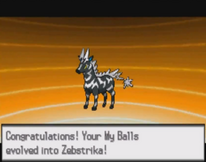 My balls evolved!