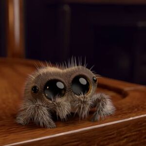 Lucas Lucas The Spider Wiki Fandom