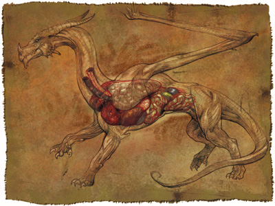 Dragon Internal