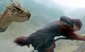 Harry and the Dragon