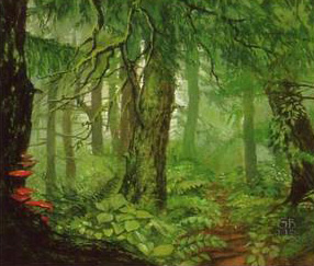 Drúadan Forest