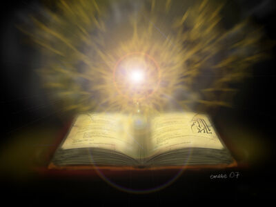 Libro copia