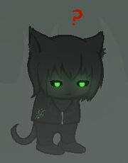 Shadow ho