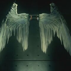 Ailes de Lucifer Wiki Lucifer FANDOM powered by Wikia Ailes de Lucifer Wiki Lucifer FANDOM powered by Wikia