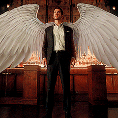 Ailes de Lucifer Wiki Lucifer Fandom Ailes de Lucifer Wiki Lucifer Fandom