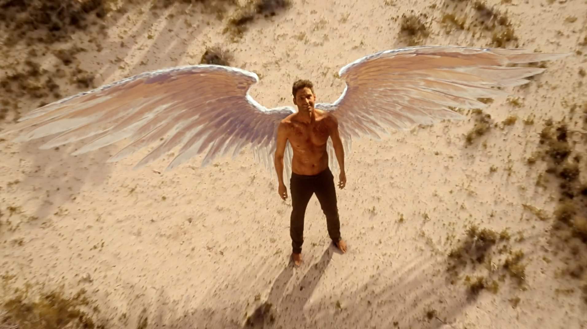 Image Ailes de Lucifer 5 jpg Wiki Lucifer FANDOM Image Ailes de Lucifer 5 jpg Wiki Lucifer FANDOM