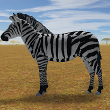 Plains Zebra Gallery Roblox Wild Savannah Wiki Fandom