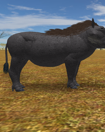 Common Warthog Roblox Wild Savannah Wiki Fandom - roblox opossum wild forest survival animals video