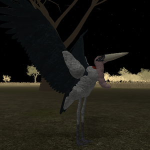 Marabou Stork Roblox Wild Savannah Wiki Fandom - lets flyhow to be a marabou stork in roblox wild savannah survival