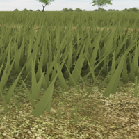 Grass Roblox Wild Savannah Wiki Fandom - leopard roblox wild savannah wiki fandom powered by wikia