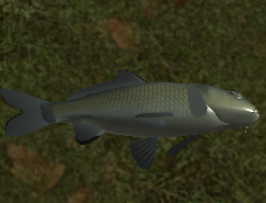 Fish Roblox Wild Savannah Wiki Fandom - small fish roblox