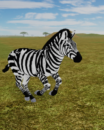 Plains Zebra Roblox Wild Savannah Wiki Fandom - robloxwild savannahbuffalo migration 1