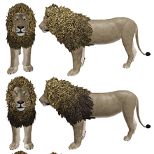 African Lion Roblox Wild Savannah Wiki Fandom - african lion roblox wild savannah nile crocodile roblox wild savannah wiki fandom powered African Lion Roblox Wild Savannah Wiki Fandom - nile crocodile roblox wild savannah wiki fandom powered