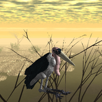 Marabou Stork Roblox Wild Savannah Wiki Fandom