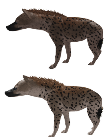 Spotted Hyena Roblox Wild Savannah Wiki Fandom