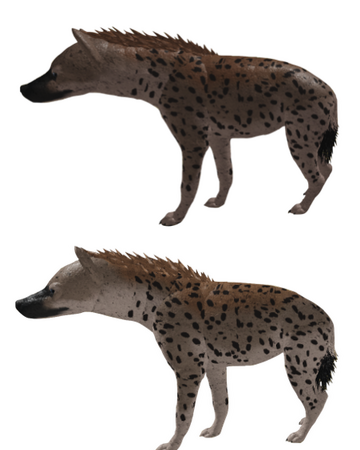 Spotted Hyena Roblox Wild Savannah Wiki Fandom - animals life roblox