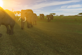 African Bush Elephant Roblox Wild Savannah Wiki Fandom - plains zebra roblox wild savannah wiki fandom