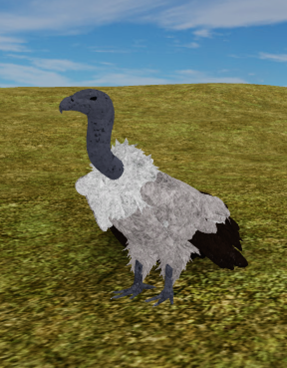 White Backed Vulture Roblox Wild Savannah Wiki Fandom - 