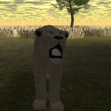wild savannah roblox update African Lion Gallery Roblox Wild Savannah Wiki Fandom
