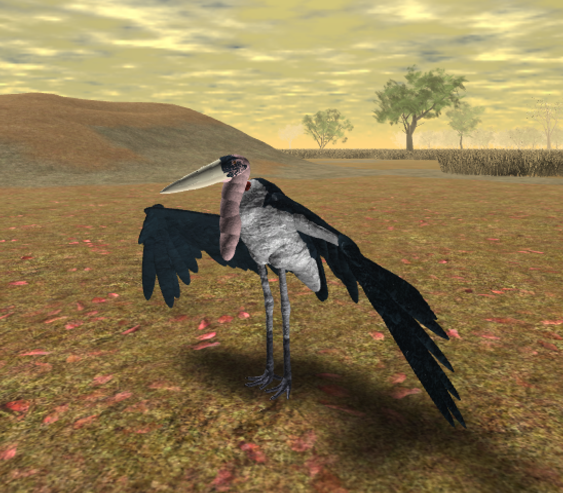 Marabou Stork Roblox Wild Savannah Wiki Fandom Powered - 