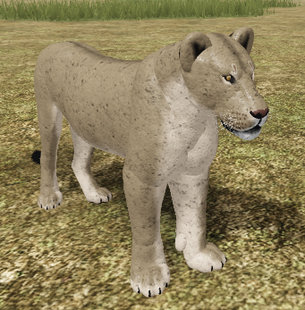 wild savannah roblox controls lion