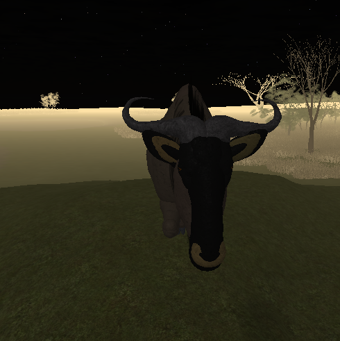 Blue Gnu Gallery Roblox Wild Savannah Wiki Fandom - roblox wild savannah blue gnu crossing vimoreorg