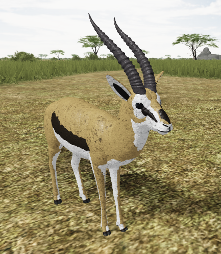 Thomson S Gazelle Roblox Wild Savannah Wiki Fandom - wild savannah roblox how to unlock animals