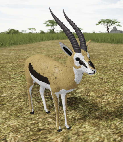 Thomson S Gazelle Roblox Wild Savannah Wiki Fandom - wild savannah roblox controls on phone