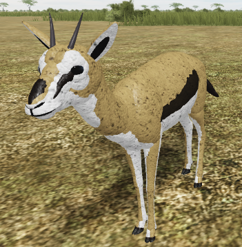 Thomson S Gazelle Roblox Wild Savannah Wiki Fandom - roblox wild savanah