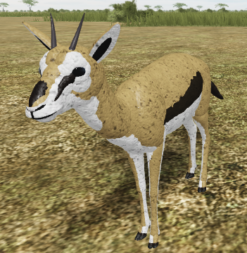 Thomson S Gazelle Roblox Wild Savannah Wiki Fandom - roblox wild savannah updates