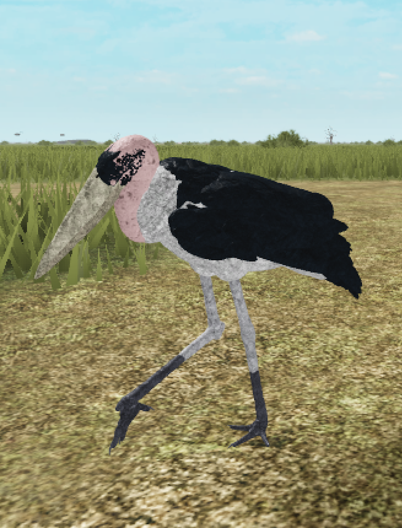 Marabou Stork Roblox Wild Savannah Wiki Fandom - lion air roblox