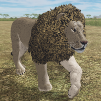 African Lion Roblox Wild Savannah Wiki Fandom - roblox wild savannah exploit
