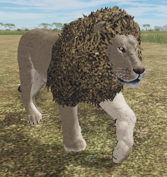 African Lion Roblox Wild Savannah Wiki Fandom
