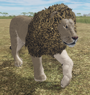 African Lion Roblox Wild Savannah Wiki Fandom - wild savannah roblox how to unlock animals