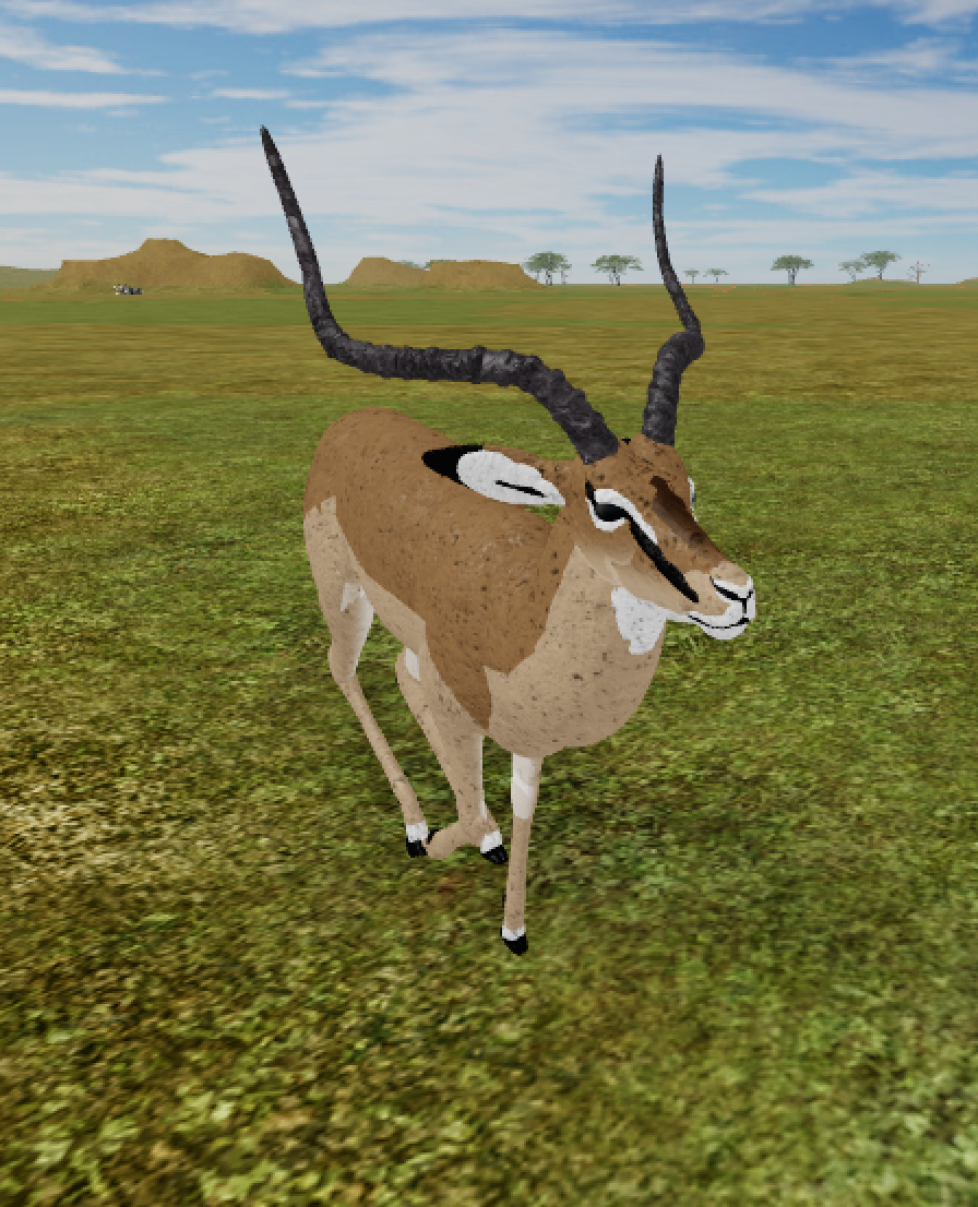 Impala Roblox Wild Savannah Wiki Fandom - the wild savannah version roblox