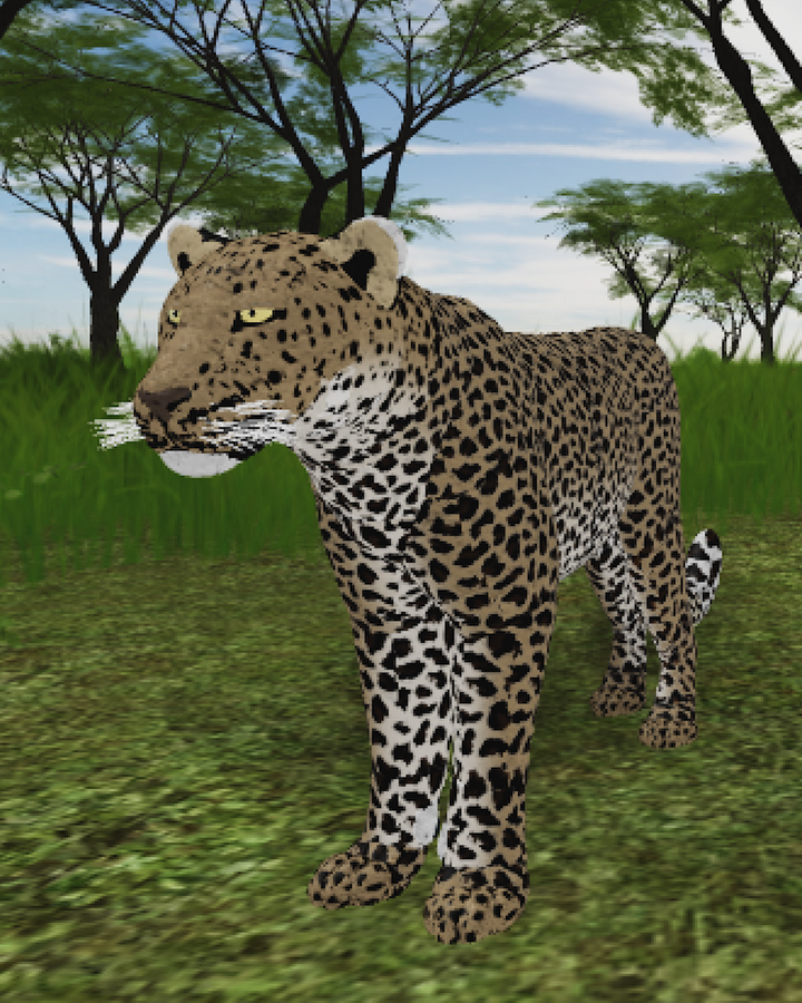 Leopard Roblox Wild Savannah Wiki Fandom - roblox wild savannah a cheetahs life part 2