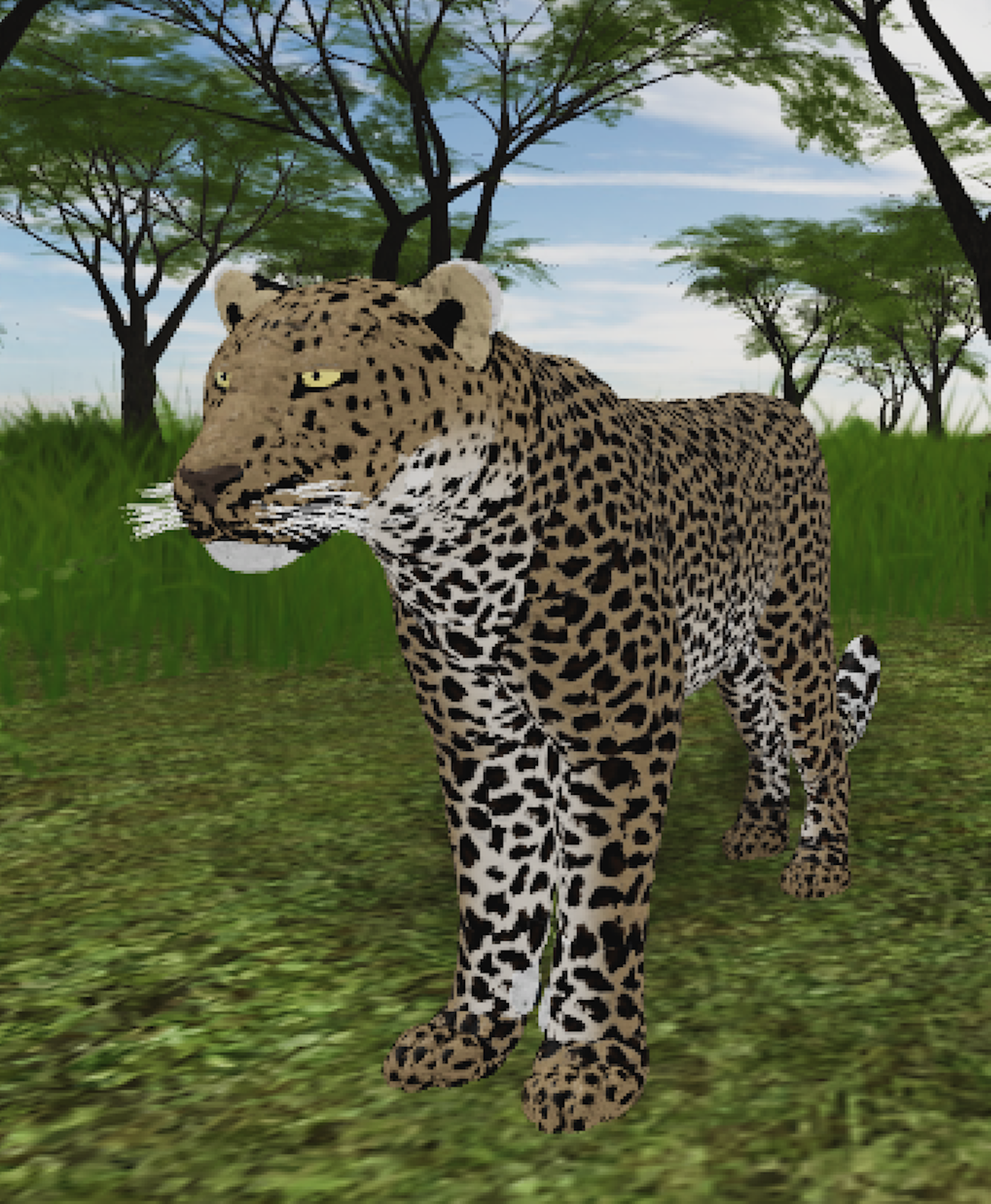 Leopard Roblox Wild Savannah Wiki Fandom - how to climb trees in the roblox game wild savannah how to