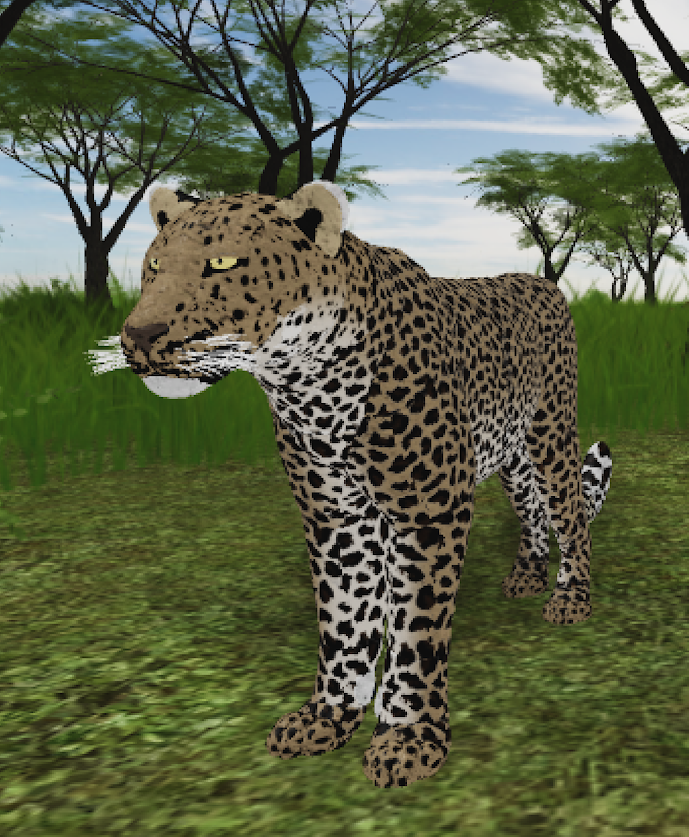 Leopard Roblox Wild Savannah Wiki Fandom Powered By Wikia - 