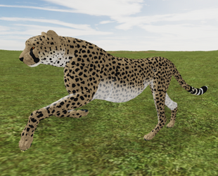 Roblox Wild Savannah How To Pounce