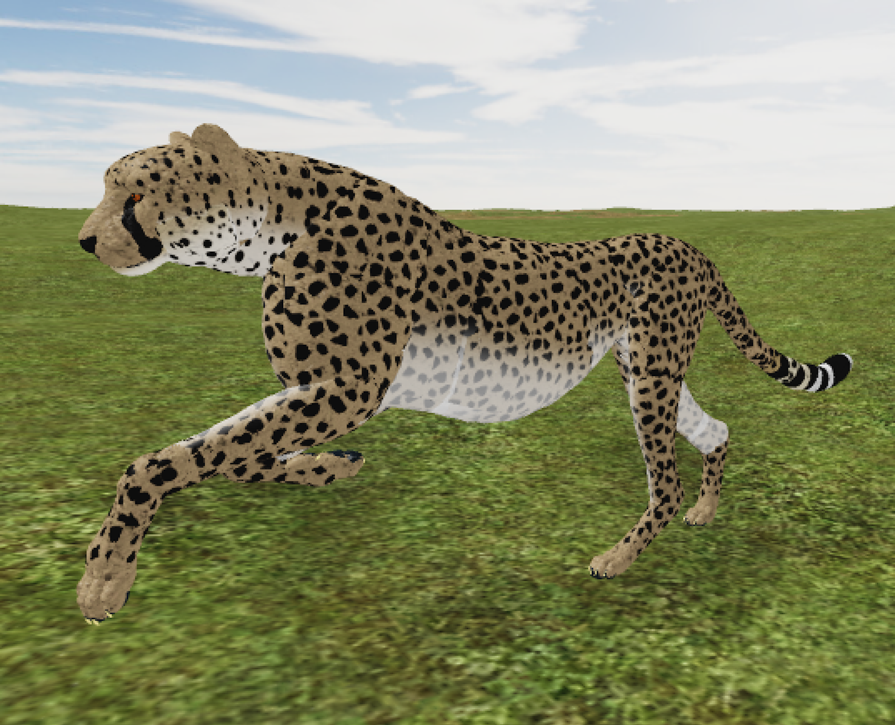 African Cheetah Roblox Wild Savannah Wiki Fandom