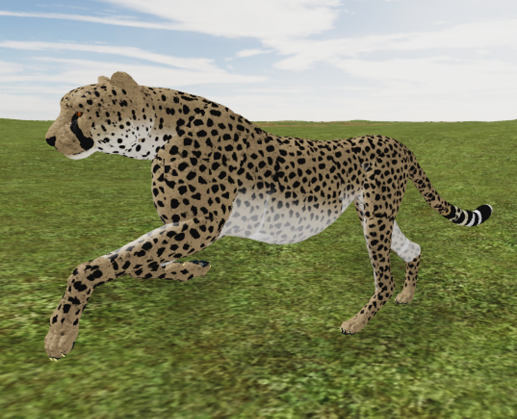 Roblox Testing A Leopard