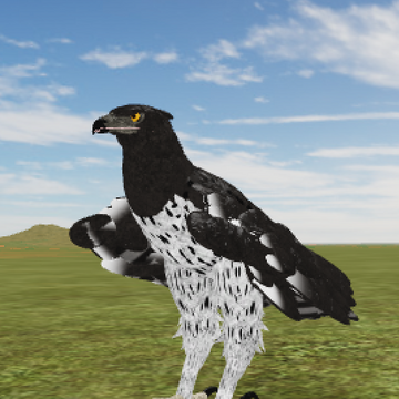 Martial Eagle Roblox Wild Savannah Wiki Fandom