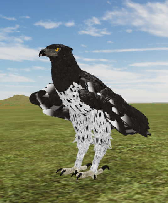 Martial Eagle Roblox Wild Savannah Wiki Fandom - roblox wild savannah updates