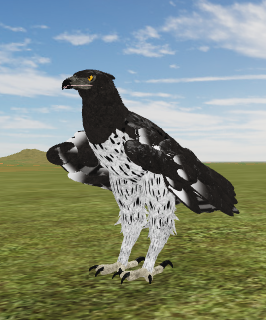 Martial Eagle Roblox Wild Savannah Wiki Fandom Powered - roblox wild savannah how to fly