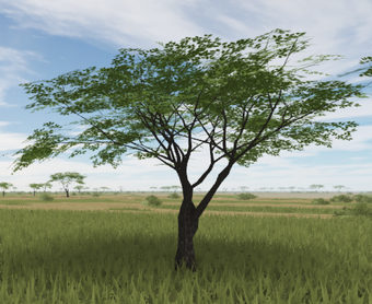 Trees Roblox Wild Savannah Wiki Fandom - how to climb trees in the roblox game wild savannah