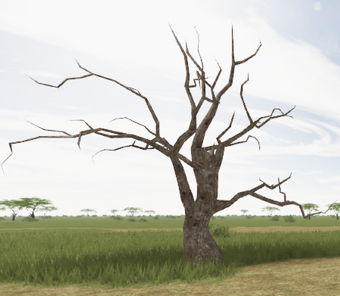 Trees Roblox Wild Savannah Wiki Fandom - how to climb trees in the roblox game wild savannah