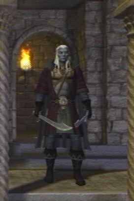 Drizzt Do Urden The Game Wiki Fandom