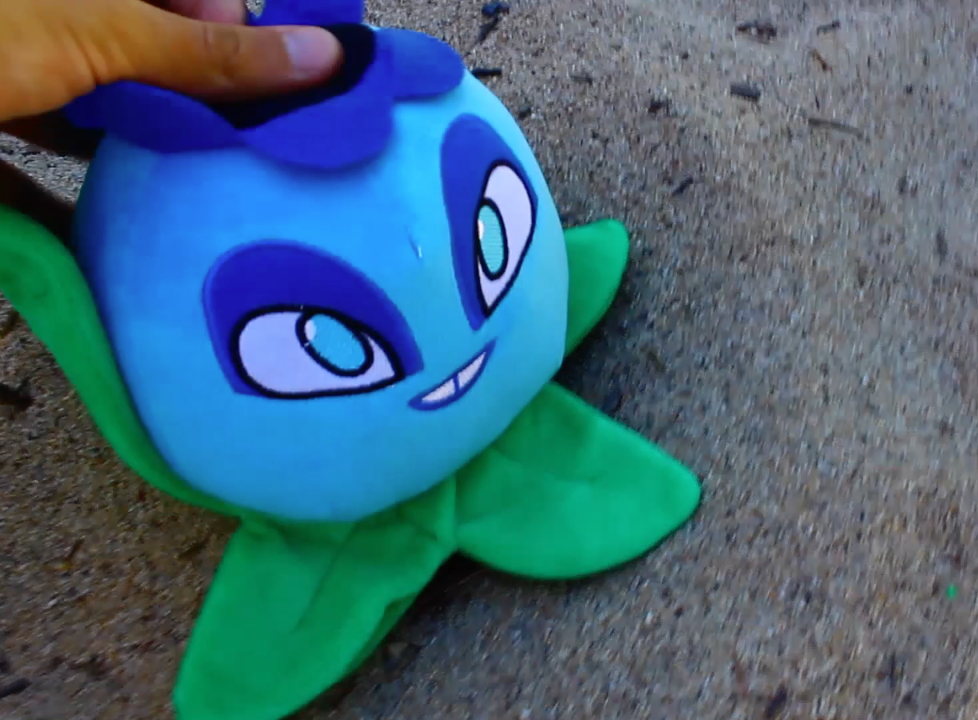 blueberry plush